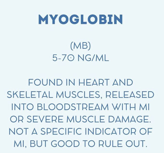 Myoglobin