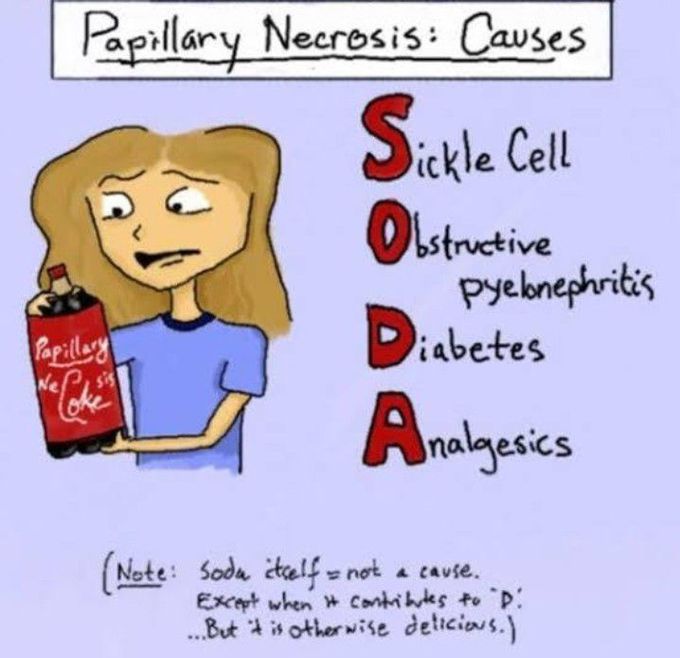 Learn causes of papillary necrosis