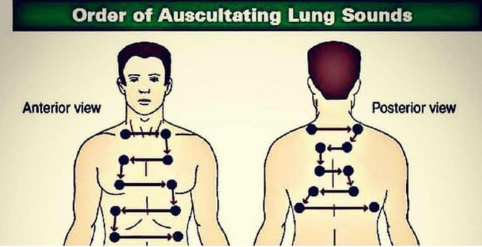 Auscultation of lungs sounds