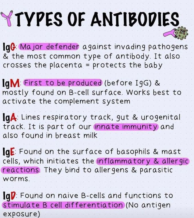 Types of Antibodies