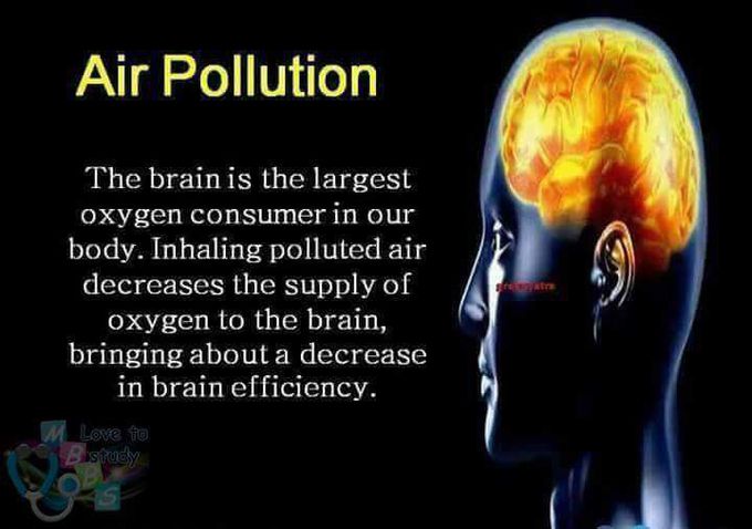 Facts About Human Brain