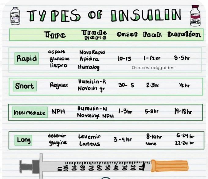 Types of Insulin