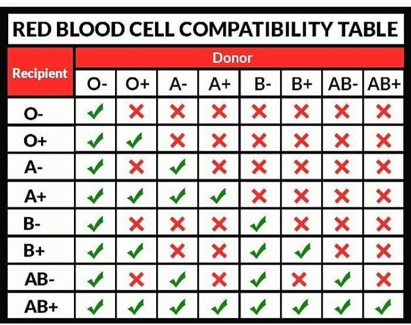 Blood Compatibility table - MEDizzy