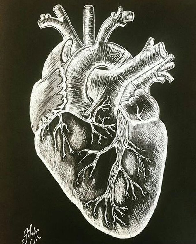 The Heart