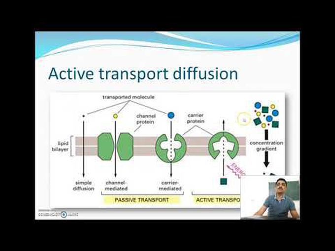 Briefing of drug absorption