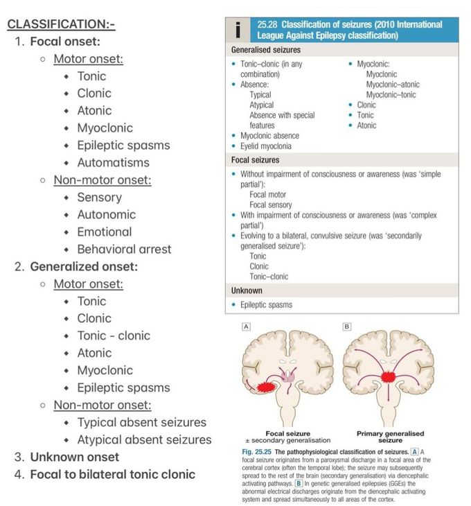 Seizures and Epilepsy II