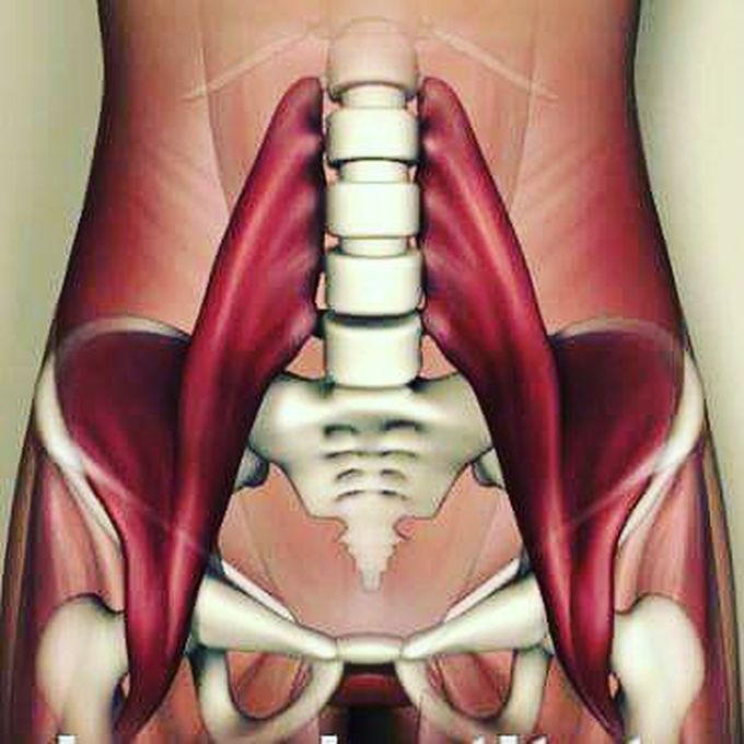 PSOAS and iliacus