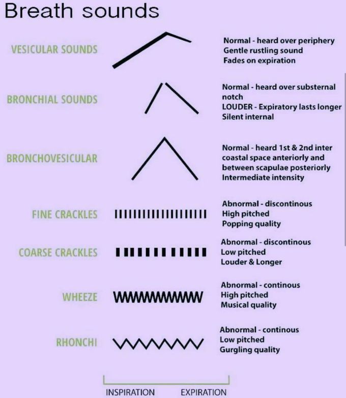 Breath sounds