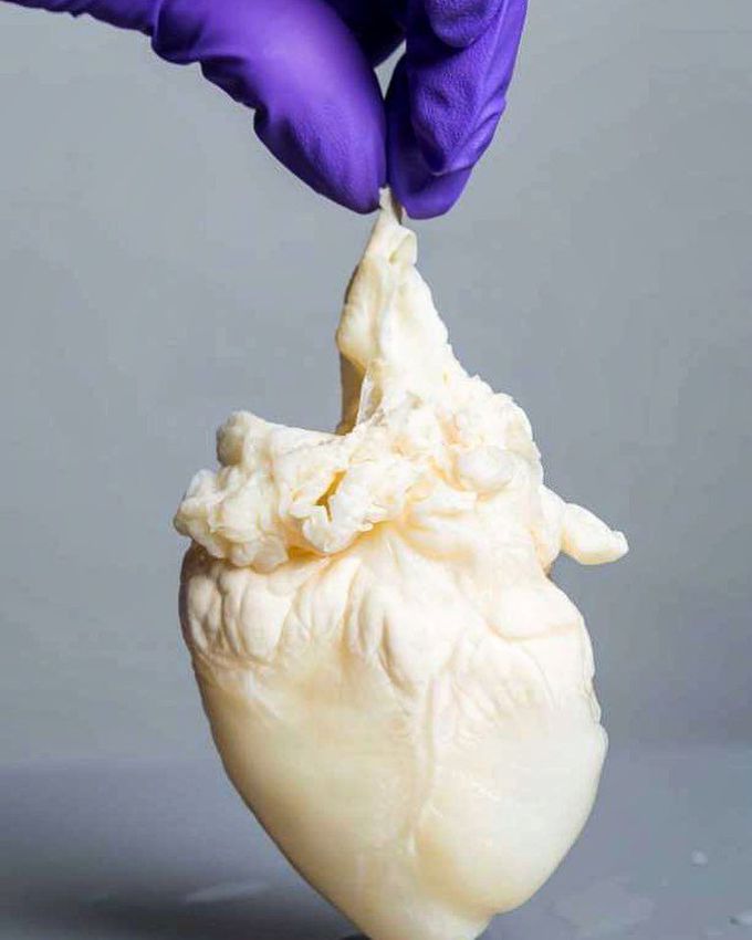 A ghost heart, or better yet, a decellularized heart!  