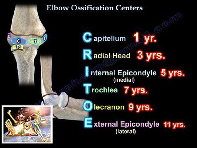 Elbow Ossification Centers    - Everything You Need To Know - Dr. Nabil Ebraheim