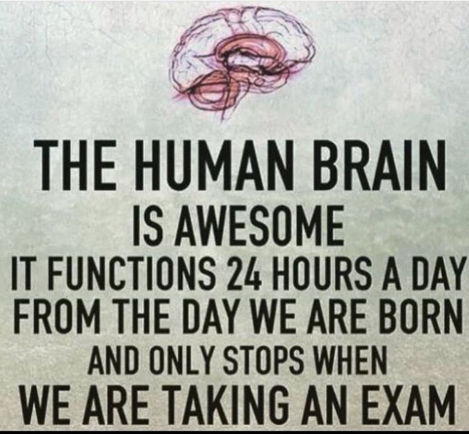 FACT...??