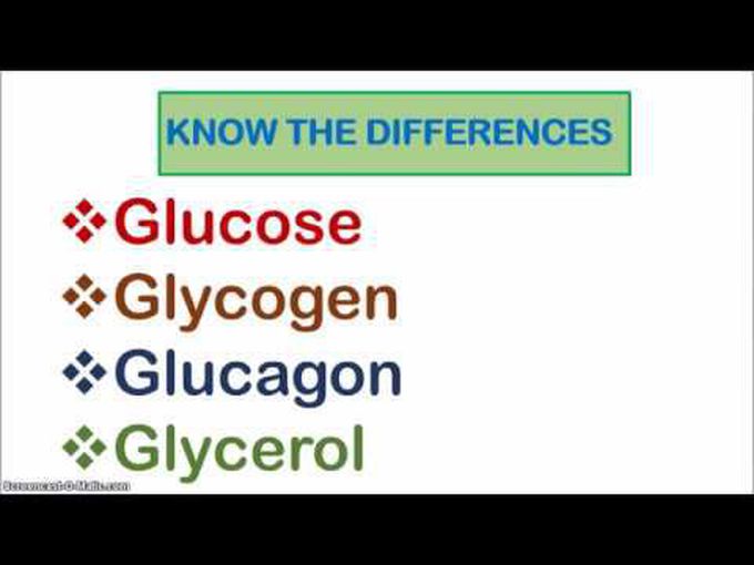 All you need to know about Glucagon,Glucose, Glycerol and Glycogen