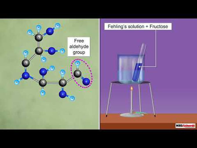 Reducing Vs Non-Reducing Sugars