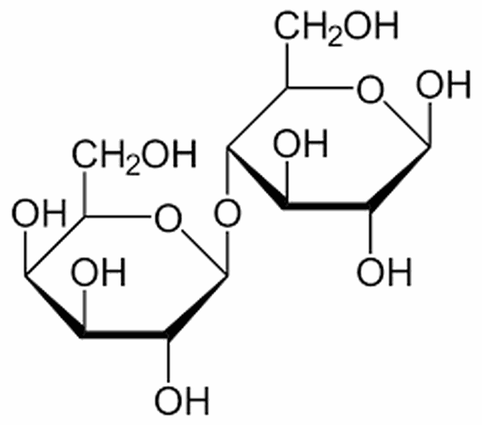 Lactose