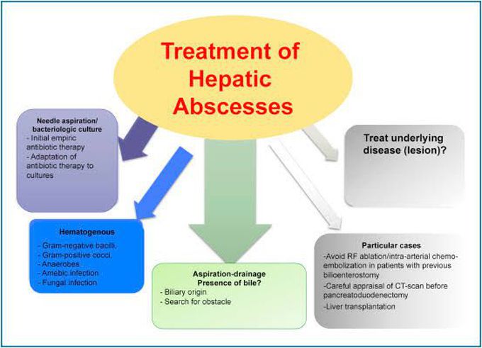Treatment for liver abscess