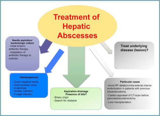 Treatment for liver abscess - MEDizzy