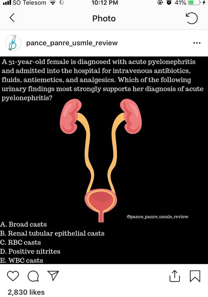 Genitourinary