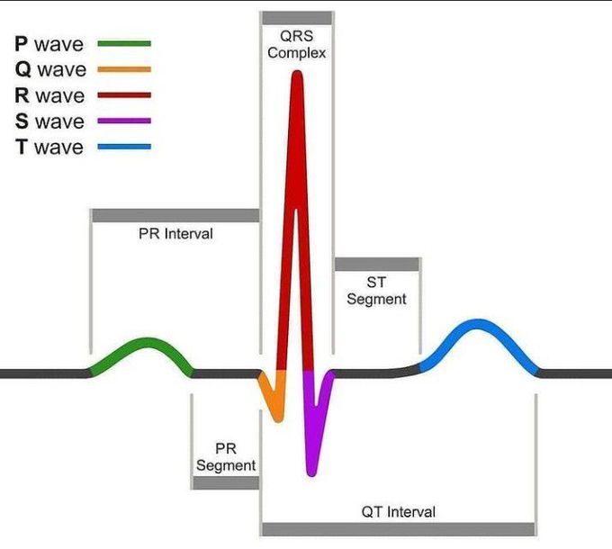 What Is The Meaning Of Electrocardiography