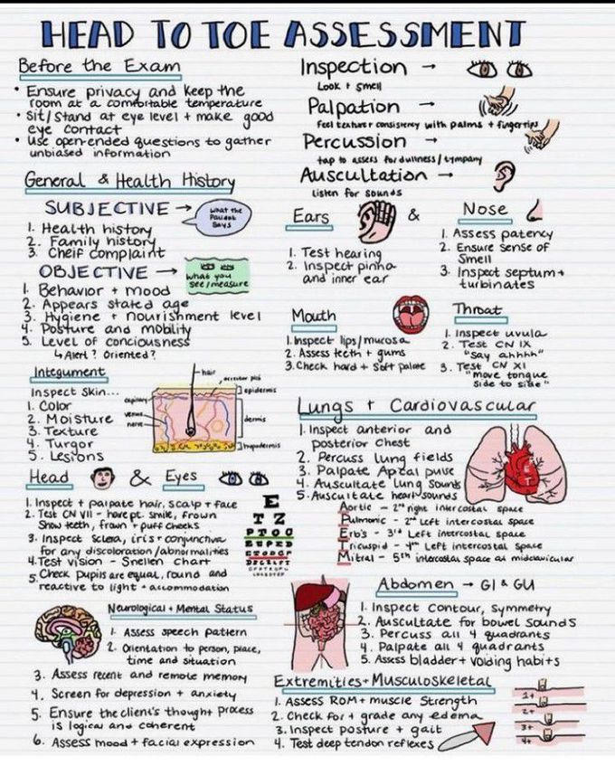 Head to toe assessment