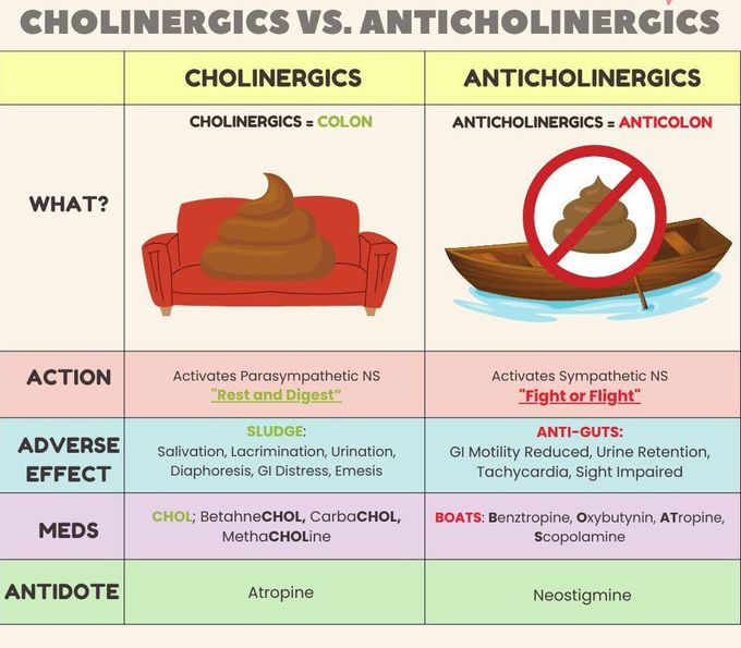 Cholinergic Vs Anticholinergic Drugs