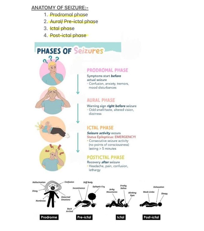 Seizures and Epilepsy VI