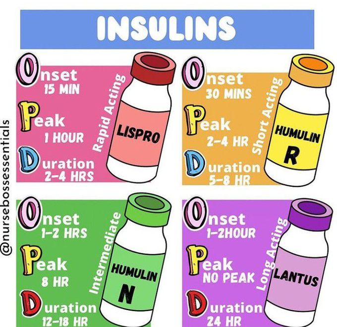 Insulin