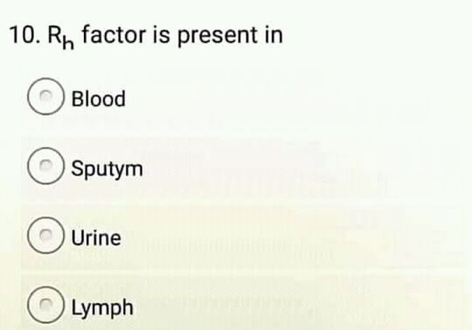 Quizz