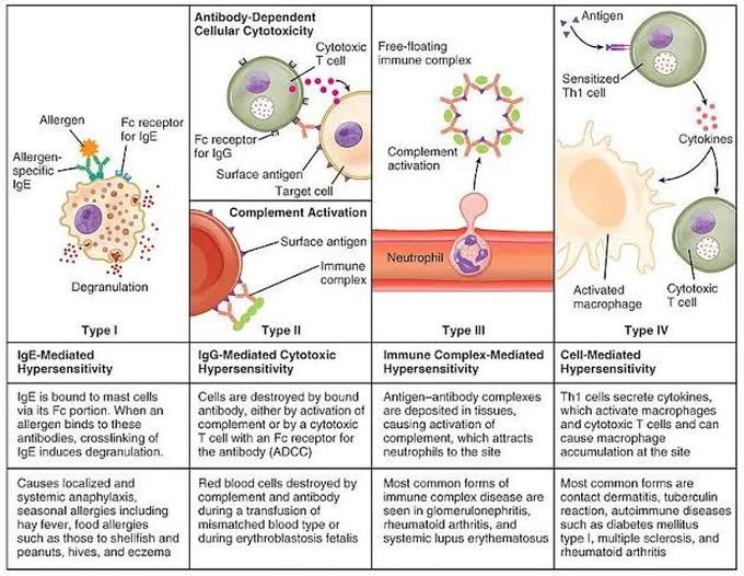 Hypersensitivity Reaction