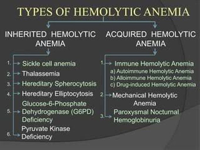 Types of hemolytic anemia