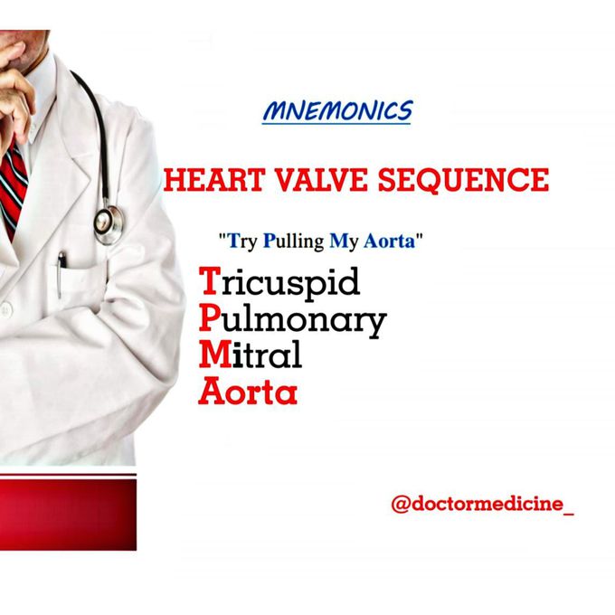Anatomy mnemonics