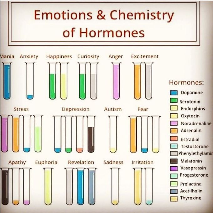 Emotions and chemistry of hormones 😉