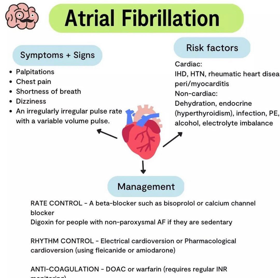 Atrial Fibrillation - MEDizzy