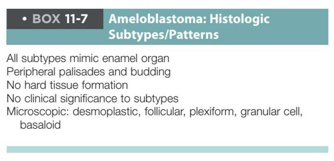 Ameloblastoma histopathology