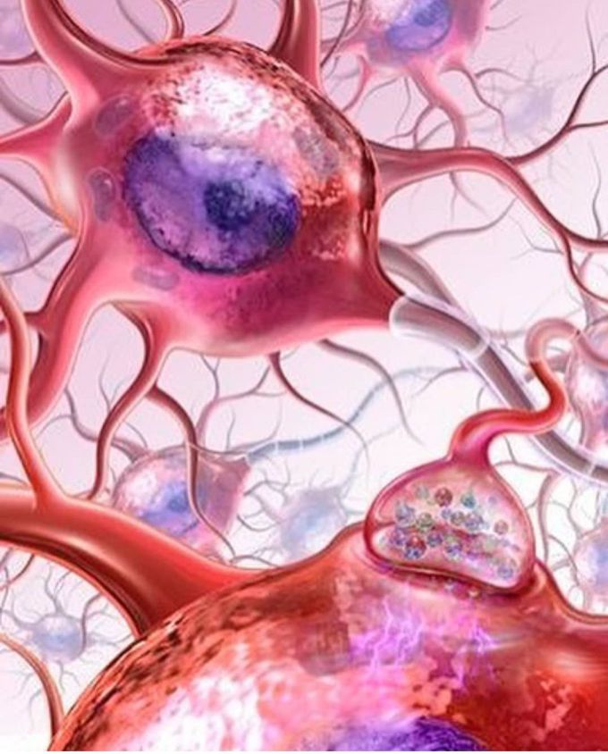Structure of neuron