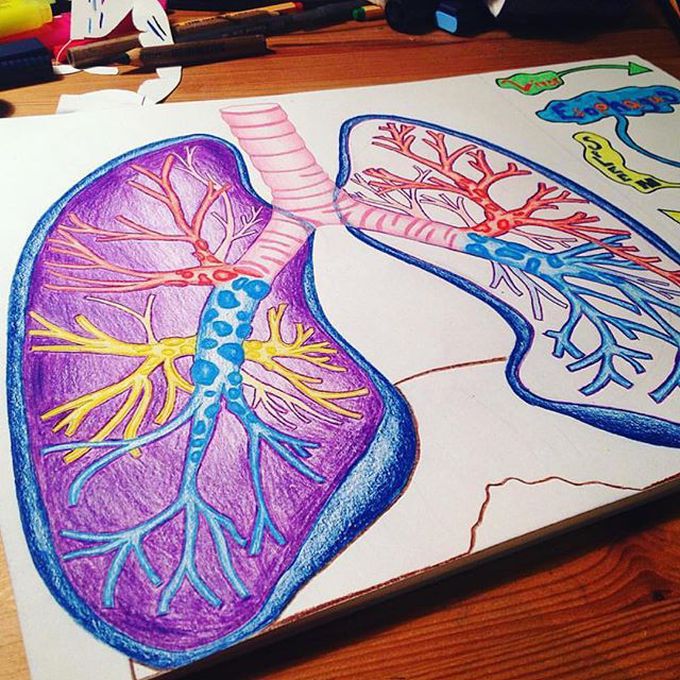 Colorful lungs, colorful life