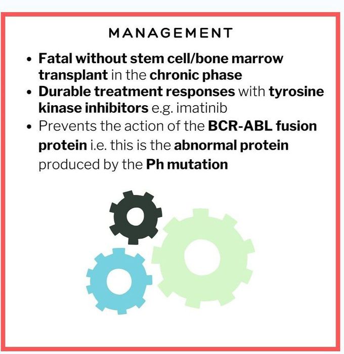 Chronic Myeloid Leukemia V