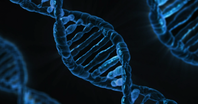New Study Confirms That the Future of Data Storage Is in DNA