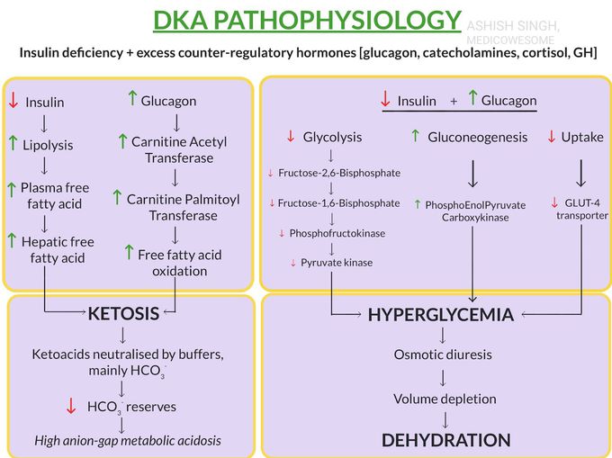 Diabetic Ketoacidosis (DKA) pathophysiology