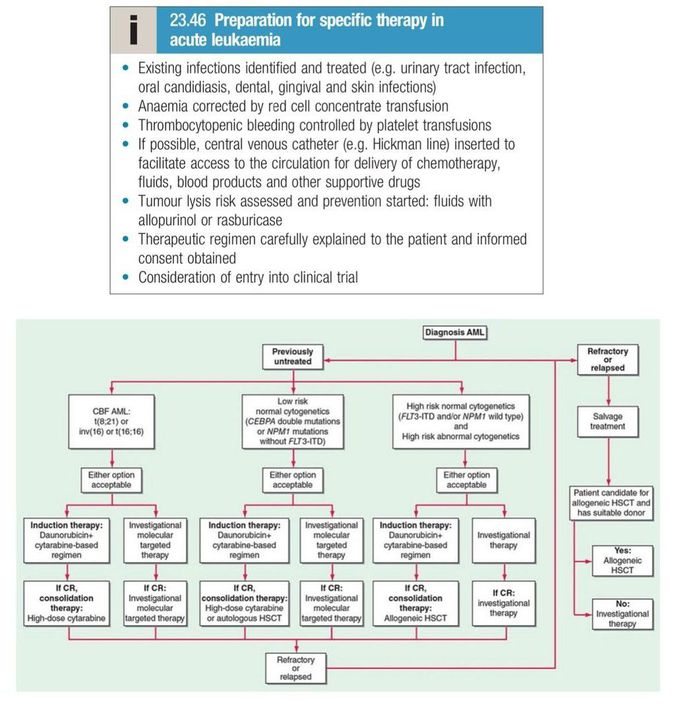Acute Myeloid Leukemia VIII