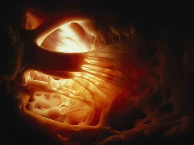 interior heart ❤