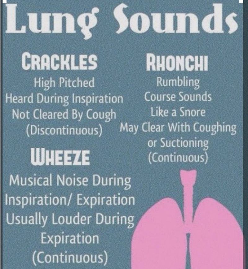 lung-sounds-medizzy