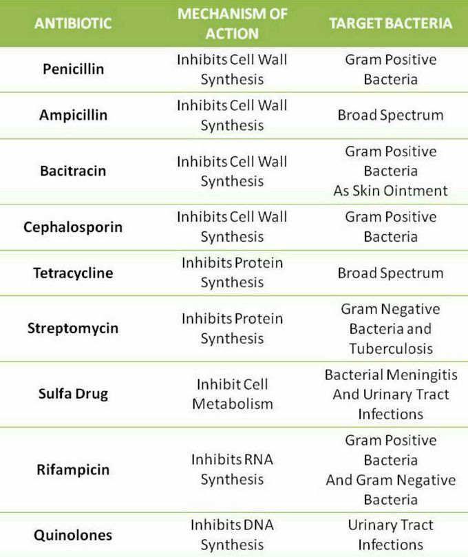 Antibiotics