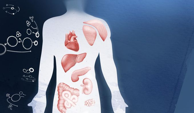Nightingale to accelerate personalized medicine by analyzing 40,000 blood samples