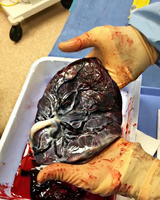 Medical Guide 😷 on Twitter