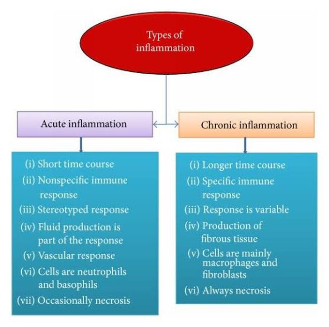 Types of inflammation