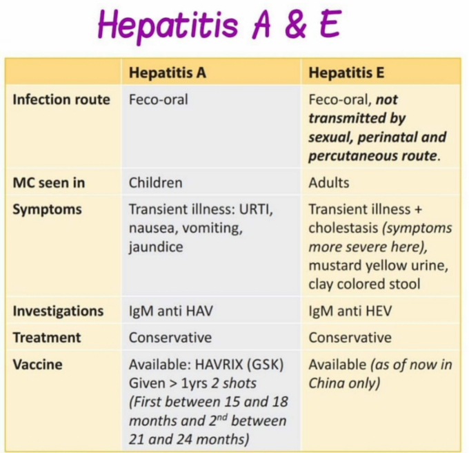 Hepatitis A vs Hepatitis E