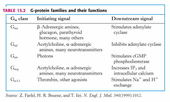G-protein family and their function