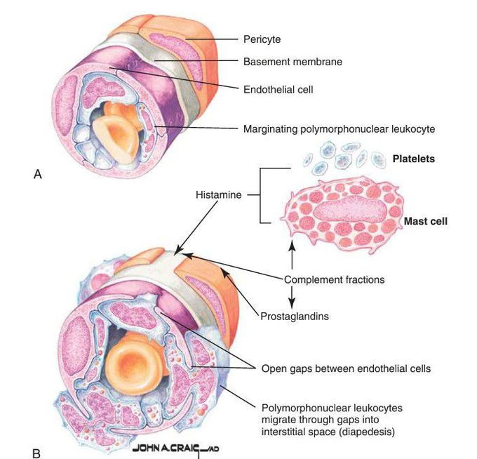 Wound healing