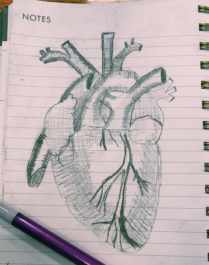 Study Hall Boredom