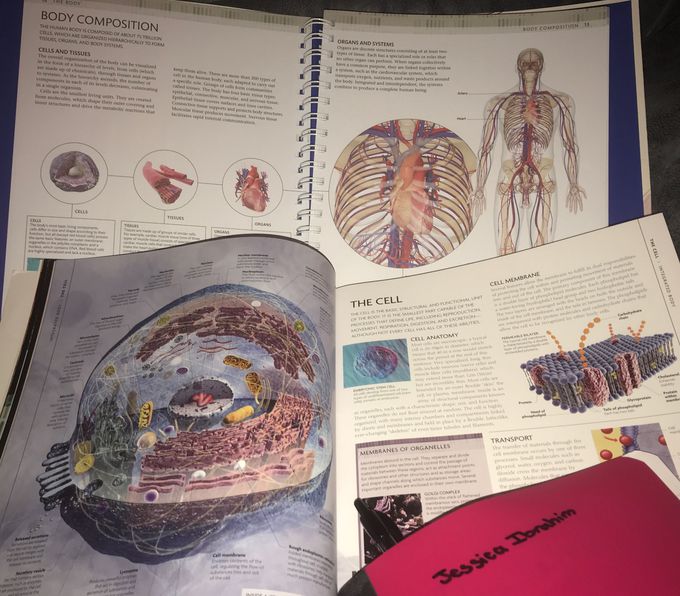 Teach me everything there is to know about medicine!